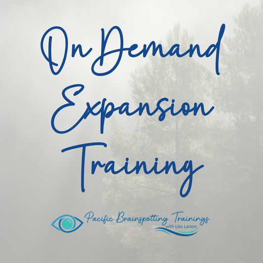 PBT Expansion Training (On Demand) - Pacificbrainspotting